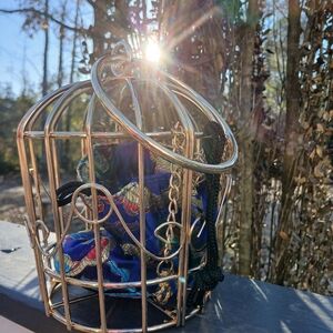 Gold Cage Purse with Blue Floral Interior